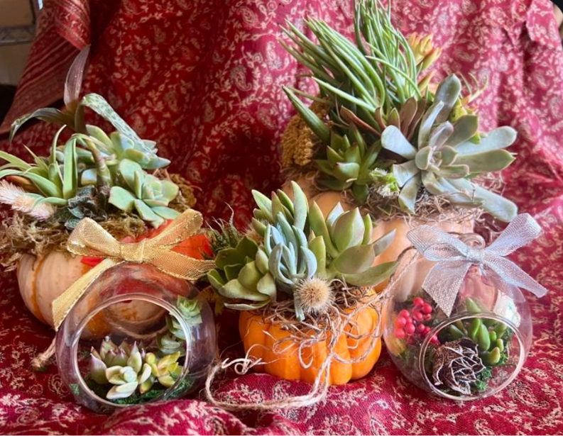 A montage of various succulents, in gourds and glass bulbs, atop a crimson tablecloth